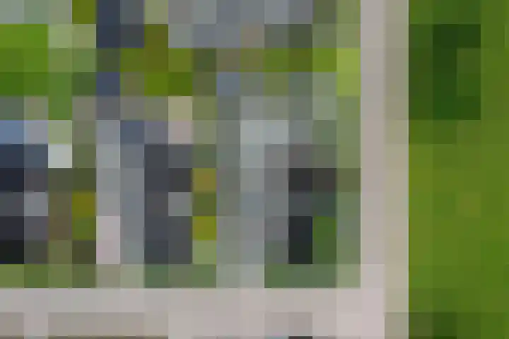 Stadhoudershoef 2 Hank thumbnail 60