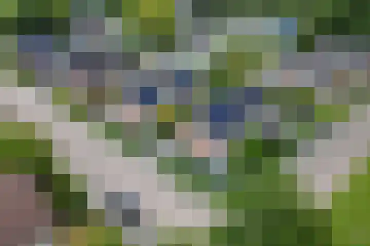 Stadhoudershoef 2 Hank thumbnail 65