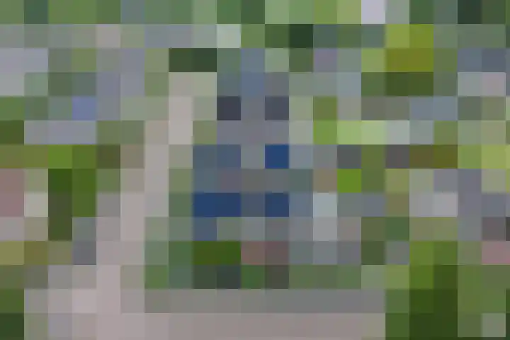 Stadhoudershoef 2 Hank thumbnail 66