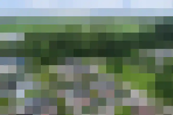 Stadhoudershoef 2 Hank thumbnail 68