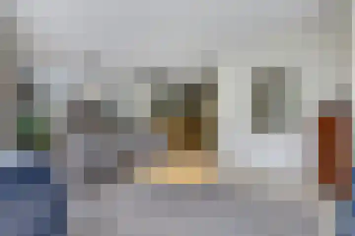 Stadhoudershoef 2 Hank thumbnail 8