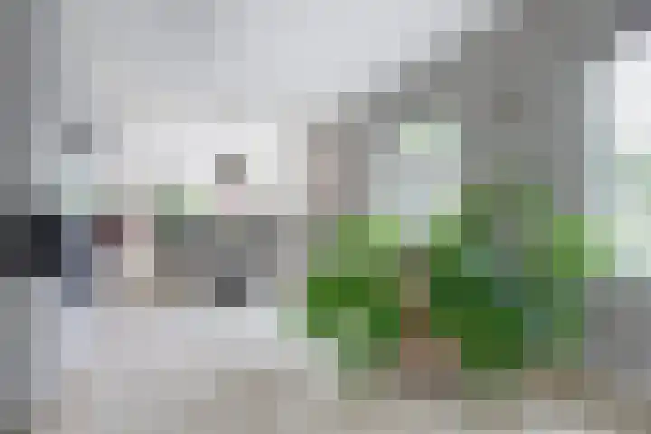 Stadhoudershoef 2 Hank thumbnail 9