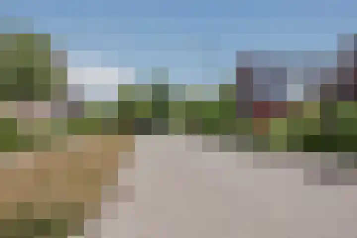 Stadhoudershoef 8 Hank thumbnail 10