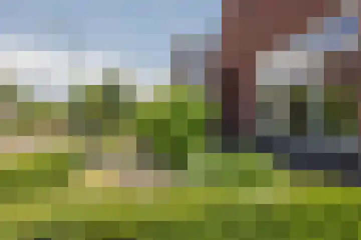Stadhoudershoef 8 Hank thumbnail 11