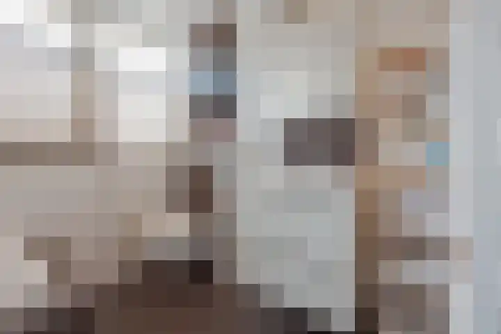 Stadhoudershoef 8 Hank thumbnail 4
