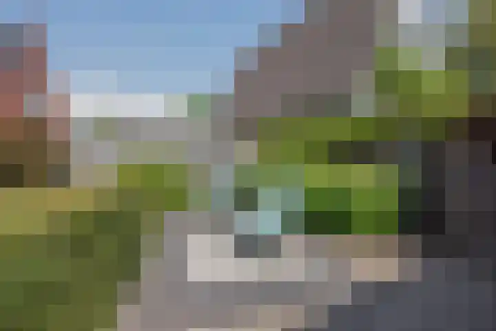 Stadhoudershoef 8 Hank thumbnail 47