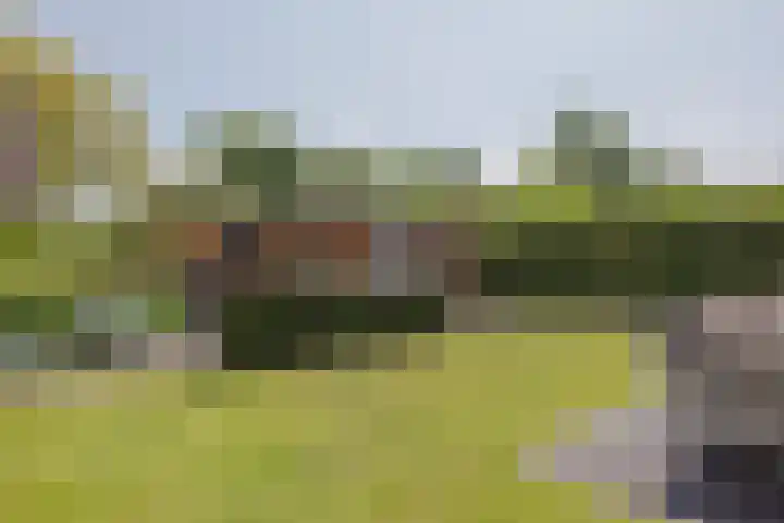 Stadhoudershoef 8 Hank thumbnail 51