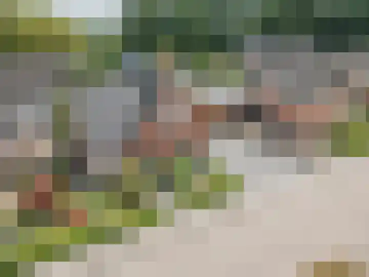 Stadhoudershoef 8 Hank thumbnail 56