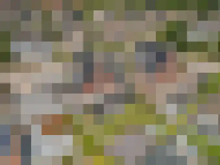 Stadhoudershoef 8 Hank thumbnail 59