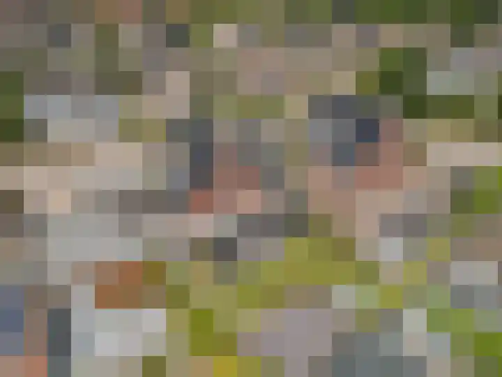 Stadhoudershoef 8 Hank thumbnail 60