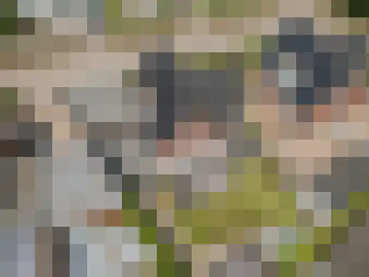 Stadhoudershoef 8 Hank thumbnail 61