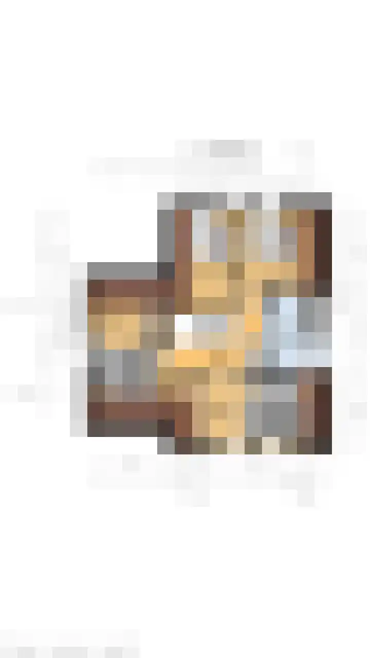 Stadhoudershoef 8 Hank thumbnail 66