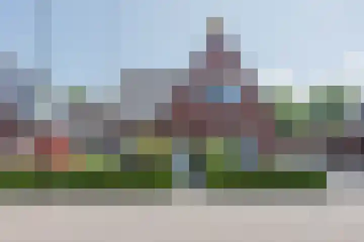 Stadhoudershoef 8 Hank thumbnail 8