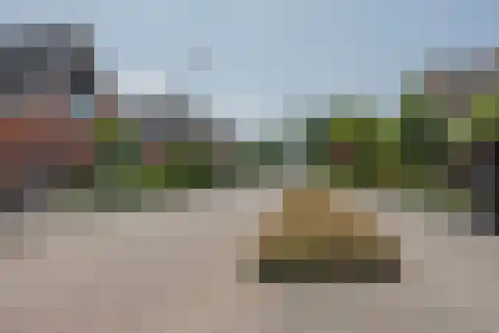 Stadhoudershoef 8 Hank thumbnail 9