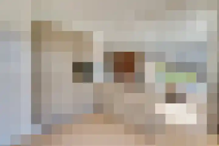 Stadhouderslaan 3 Soest thumbnail 17