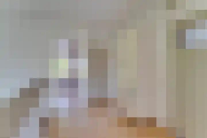 Stadhouderslaan 3 Soest thumbnail 20