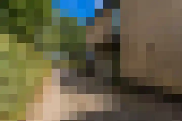 Stadhouderslaan 3 Soest thumbnail 46