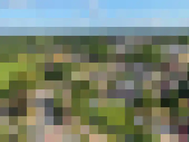 Stadhouderslaan 3 Soest thumbnail 52