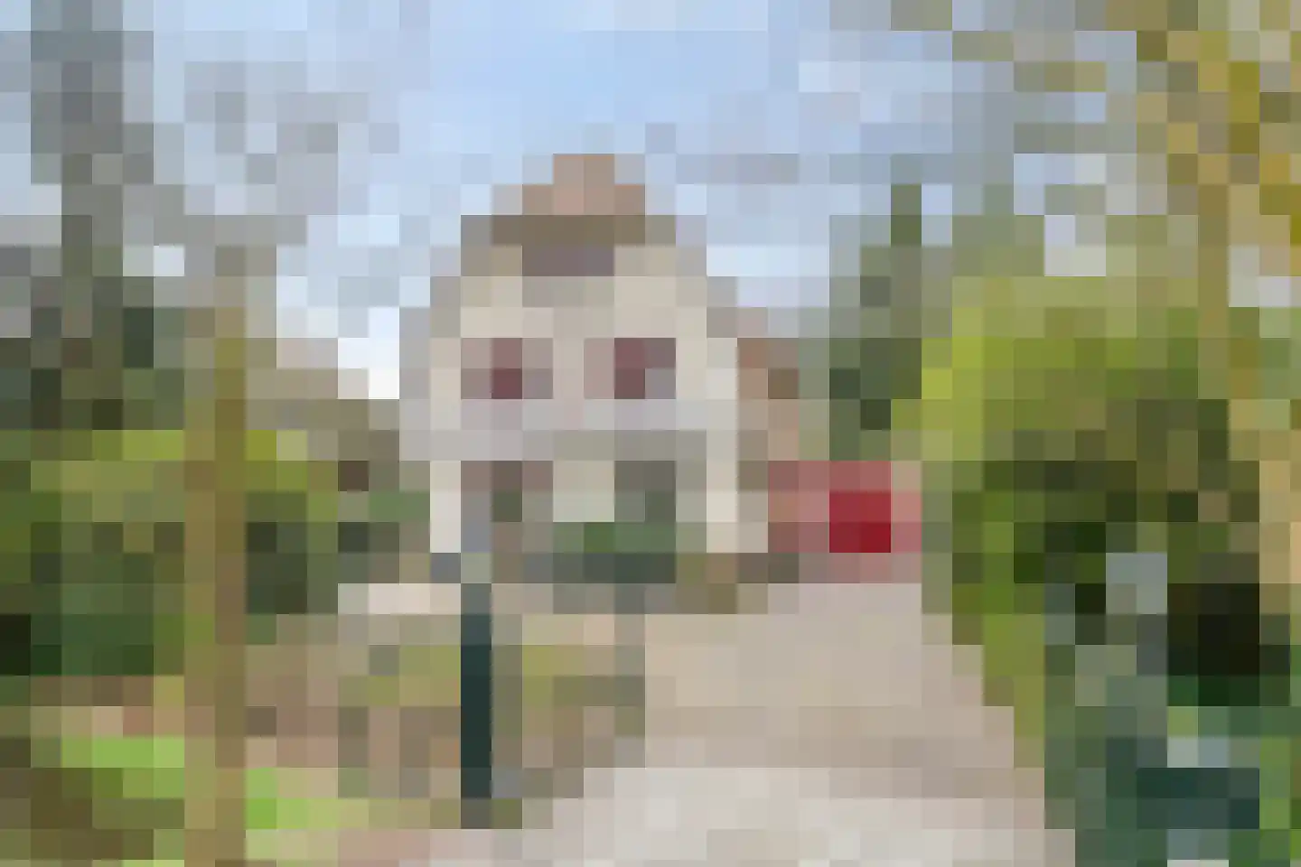 Stadhouderslaan 59 in Soest