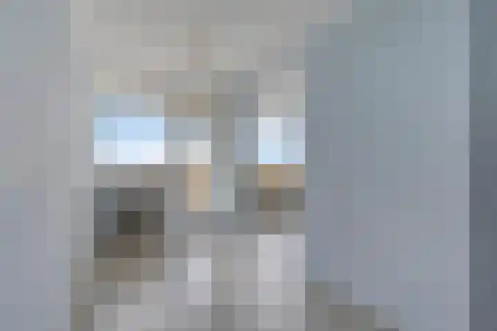 Stadhoudersring 658 Zoetermeer thumbnail 12