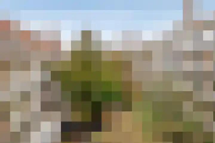 Stadionkade 106 H Amsterdam thumbnail 19