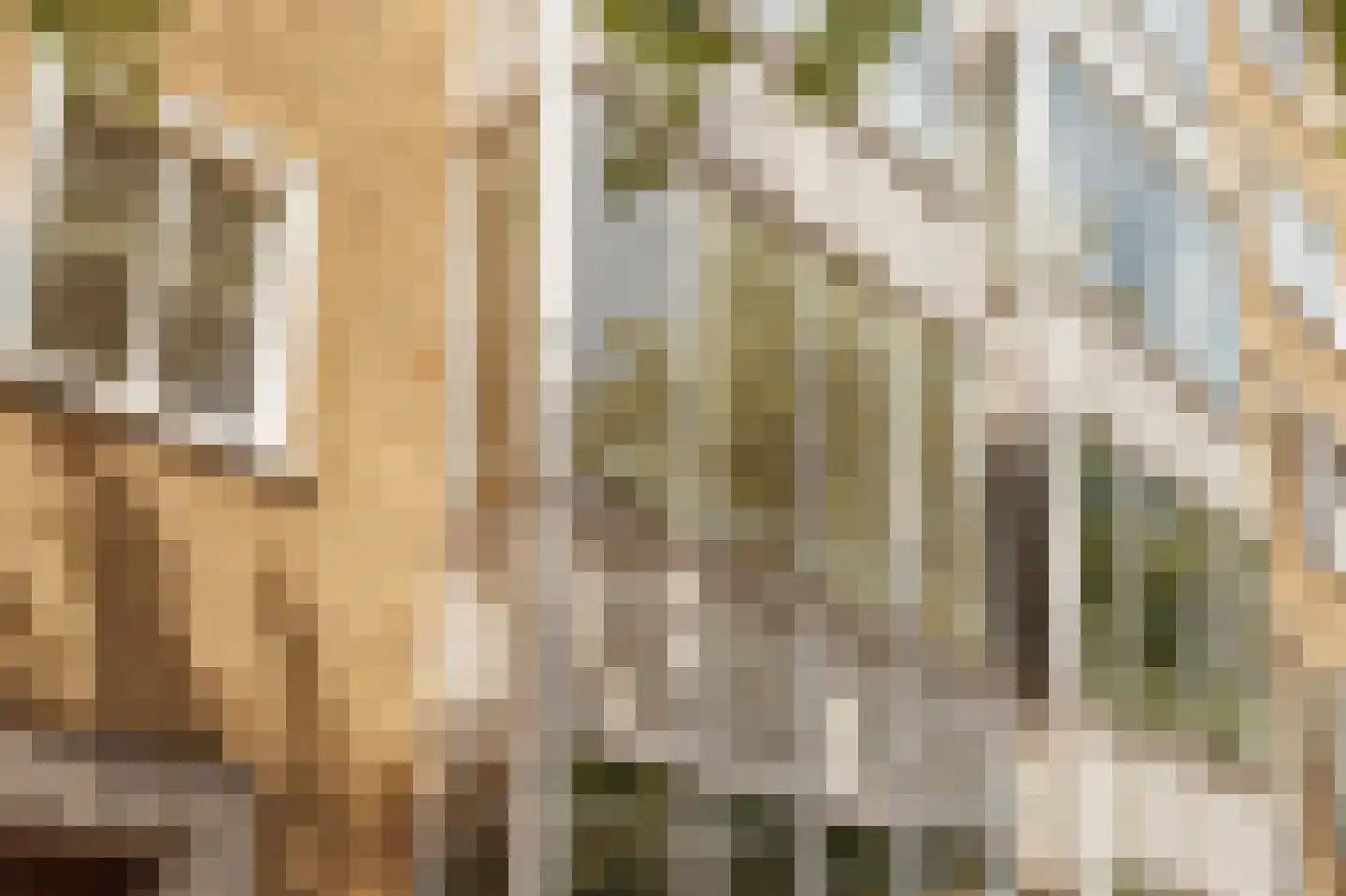 Stadionweg 164 4 Amsterdam thumbnail 10