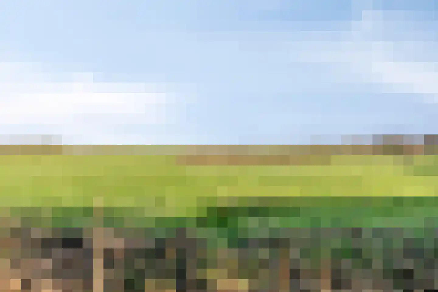 Stadsedijk 16 Oudemolen thumbnail 33
