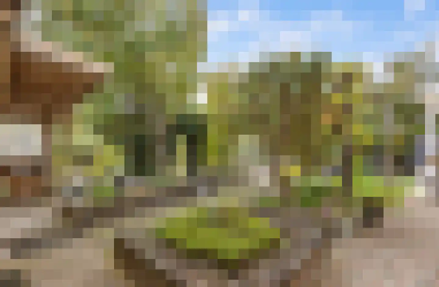 Stadseiland 60 Lelystad thumbnail 58
