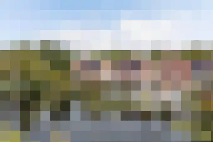 Stadseiland 91 Lelystad thumbnail 43