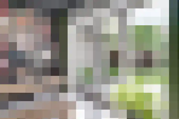 Stadsgracht 7 Zevenaar thumbnail 14