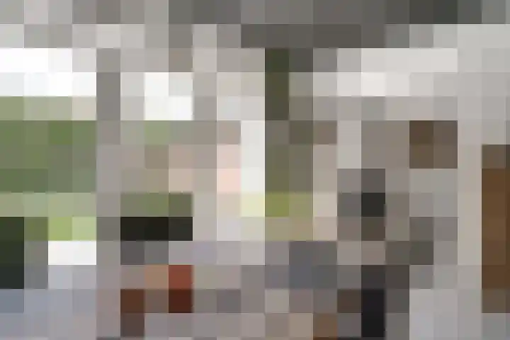 Stadsgracht 7 Zevenaar thumbnail 15
