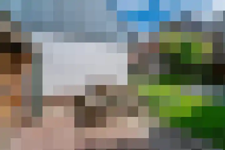 Stadsgracht 7 Zevenaar thumbnail 37