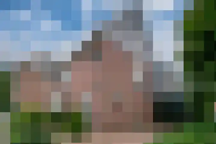 Stadsgracht 7 Zevenaar thumbnail 5