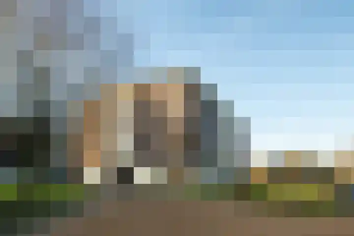 Stadshagen 146 Delden thumbnail 37