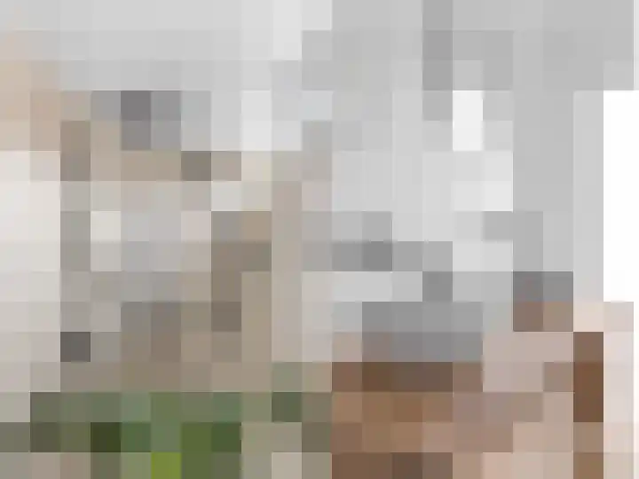 Stadslaan 26 IJlst thumbnail 24