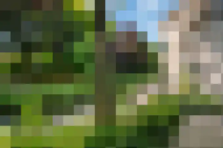 Stadsring 258 Amersfoort thumbnail 26