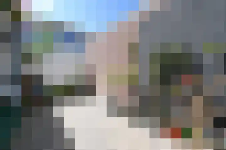 Stadstuinen 31 Den Haag thumbnail 11