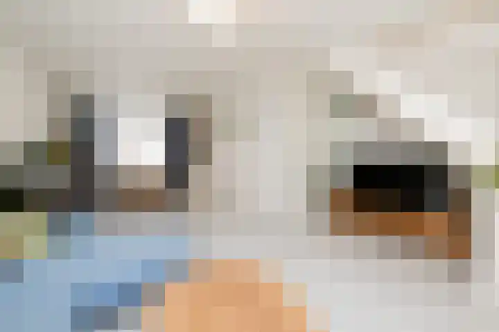 Stadstuinen 31 Den Haag foto 2