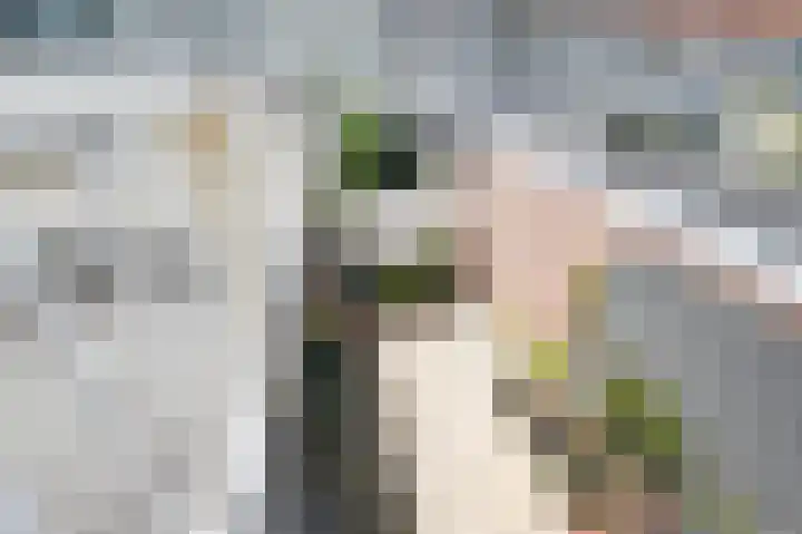 Stadstuinen 31 Den Haag thumbnail 37
