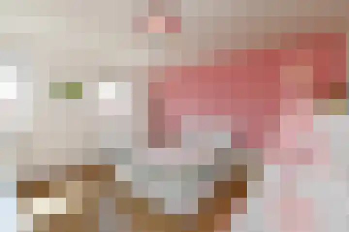 Stadstuinen 31 Den Haag thumbnail 43