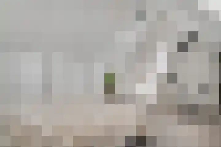 Stadstuinen 7 Wessem thumbnail 24