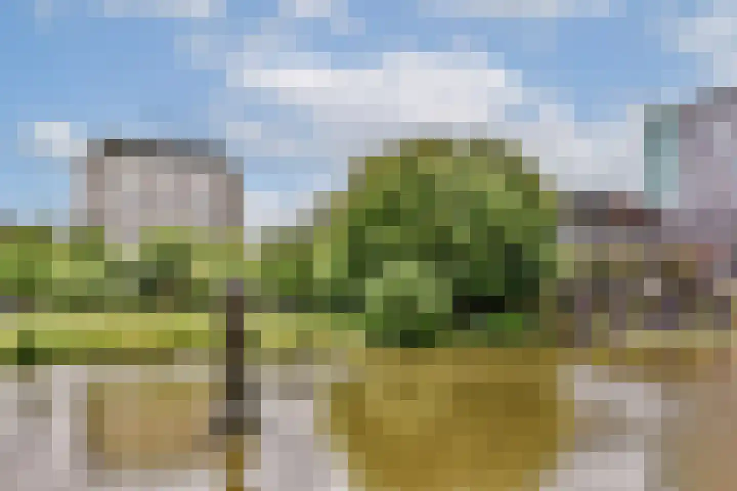 Stadstuinen 71 Amstelveen thumbnail 32