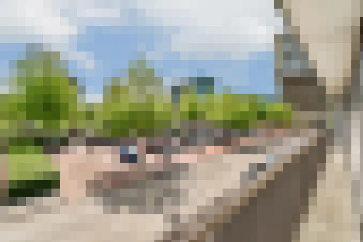 Stadstuinen 71 Amstelveen thumbnail 9