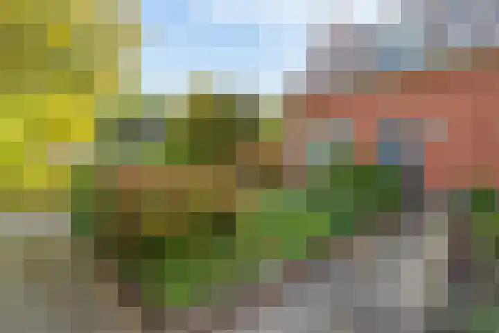 Stadsweg 19 a Groningen thumbnail 11