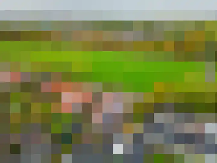Stadsweg 19 a Groningen thumbnail 30