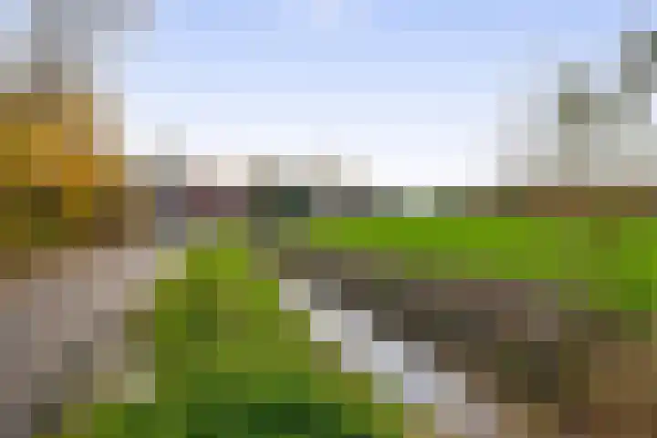 Stadsweg 19 a Groningen thumbnail 38