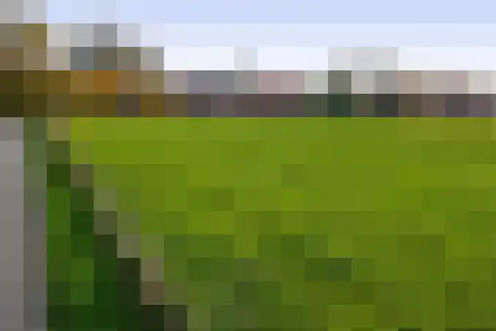 Stadsweg 19 a Groningen thumbnail 39
