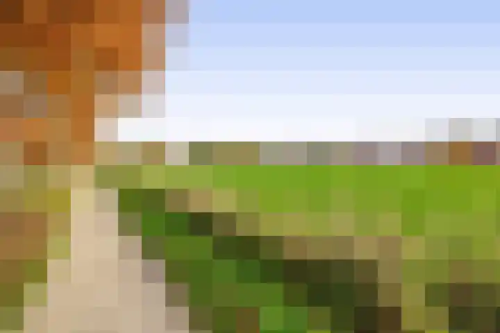 Stadsweg 19 a Groningen thumbnail 42