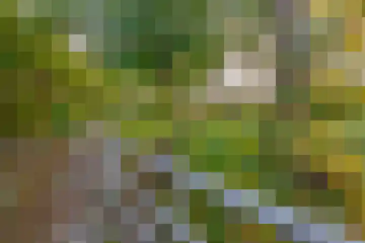 Stadsweg 19 a Groningen thumbnail 43