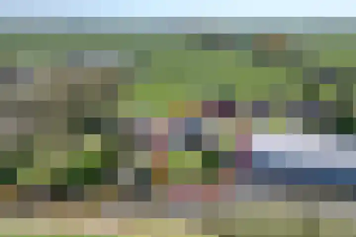 Stadsweg 29 Wirdum foto 2